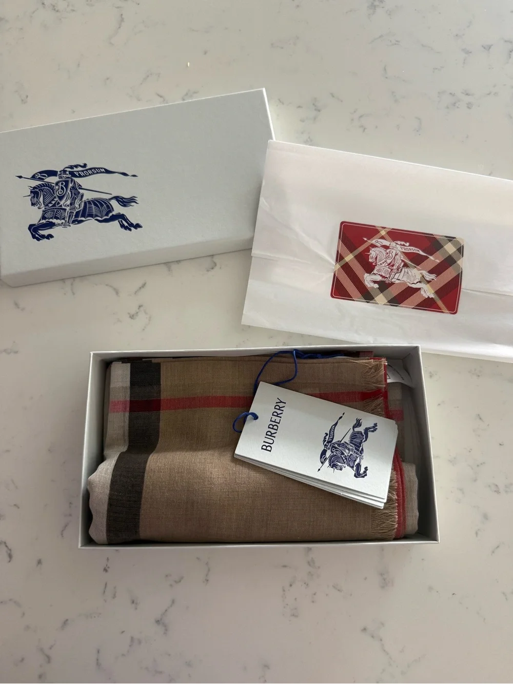 Burberry Giant check wool guaze scarf